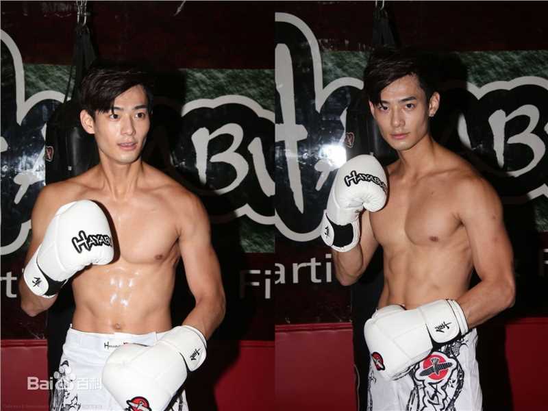 何浩文(Dominic Ho)高清图集