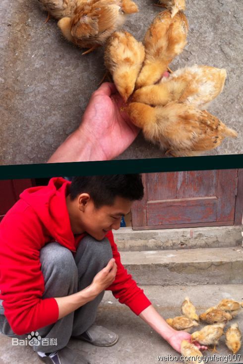 最全顾宇峰(Daniel)精彩图册