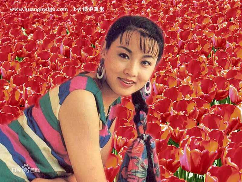 韩再芬小时候及早期照片前后照片