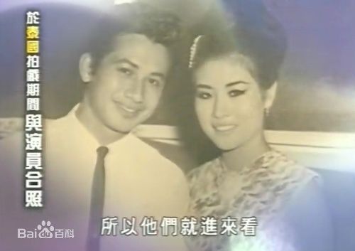 高清金霏(Tina Fei Chin)图片