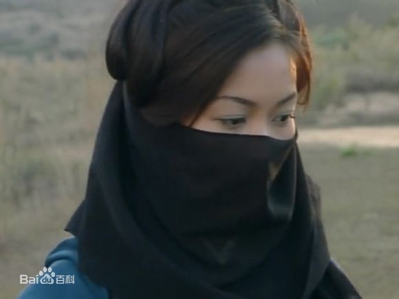 赵学而(Bondy，Chiu Hok Yee)版木婉清图册