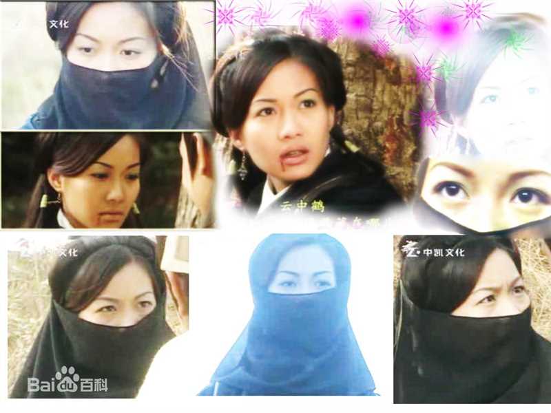 赵学而(Bondy，Chiu Hok Yee)版木婉清图册