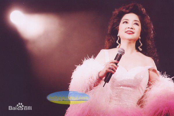 徐小凤(Paula Tsui)演唱会图册