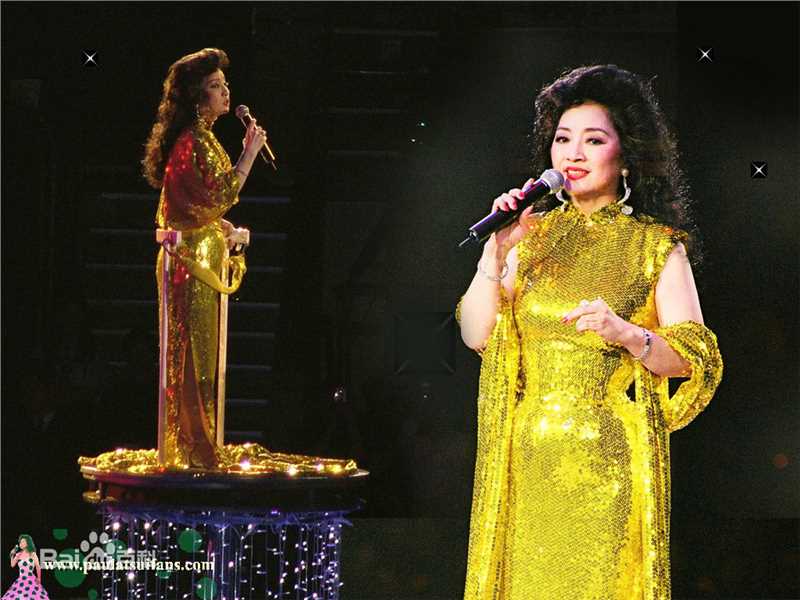 徐小凤(Paula Tsui)演唱会图册