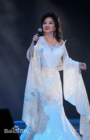 徐小凤(Paula Tsui)演唱会素颜照相册