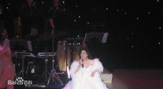 徐小凤(Paula Tsui)演唱会素颜照相册