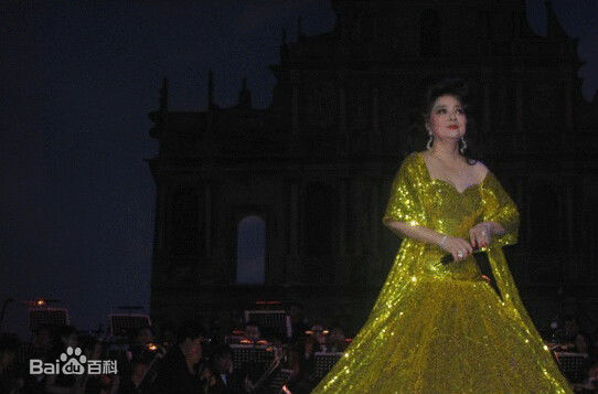 徐小凤(Paula Tsui)演唱会素颜照相册