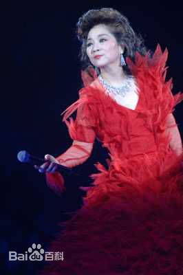 徐小凤(Paula Tsui)2006演唱会壁纸壁纸