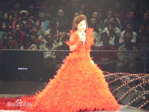 徐小凤(Paula Tsui)2006演唱会壁纸壁纸