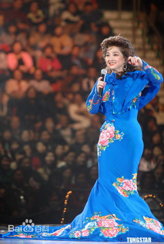 徐小凤(Paula Tsui)2006演唱会壁纸壁纸