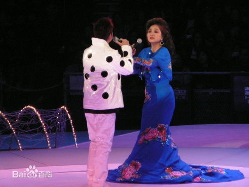 徐小凤(Paula Tsui)2006演唱会壁纸壁纸