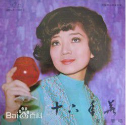 徐小凤(Paula Tsui)最新专辑封面壁纸