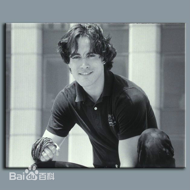 李国豪(Brandon Lee)精选集图册