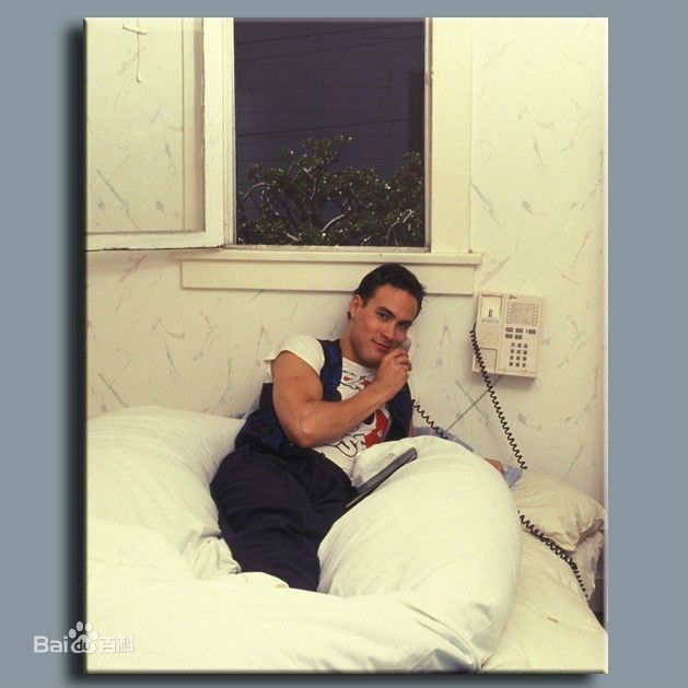 李国豪(Brandon Lee)精选集图册