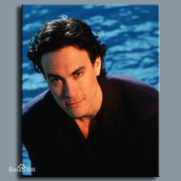 李国豪(Brandon Lee)精选集图册