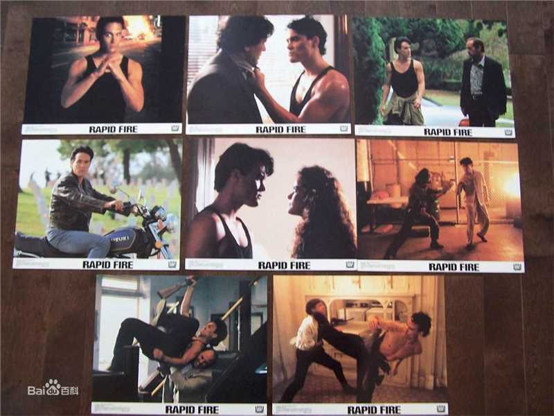 李国豪(Brandon Lee)精选集图册