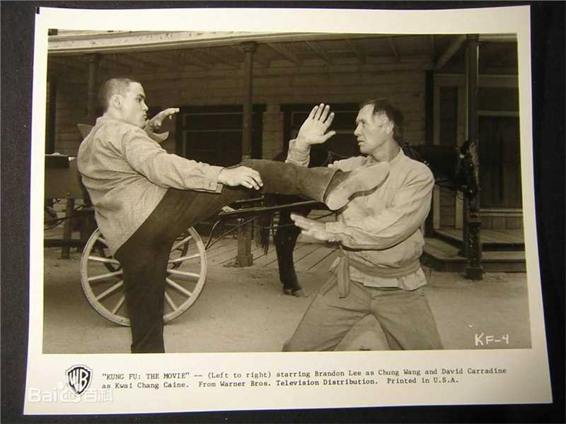 李国豪(Brandon Lee)精选集图册