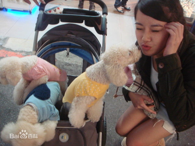 曾之乔(Joanne)乔乔日常生活照图册