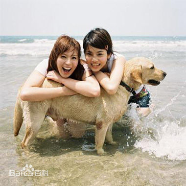 曾之乔(Joanne)sweety组合图册