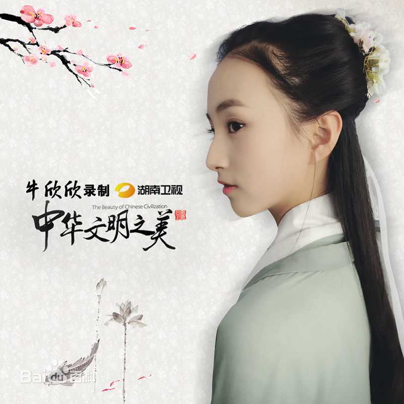 牛欣欣(Angel)湖南卫视壁纸壁纸