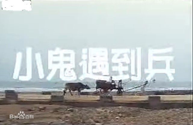 精选王彩桦(Lotus Wang、Wang Tsai-hua)