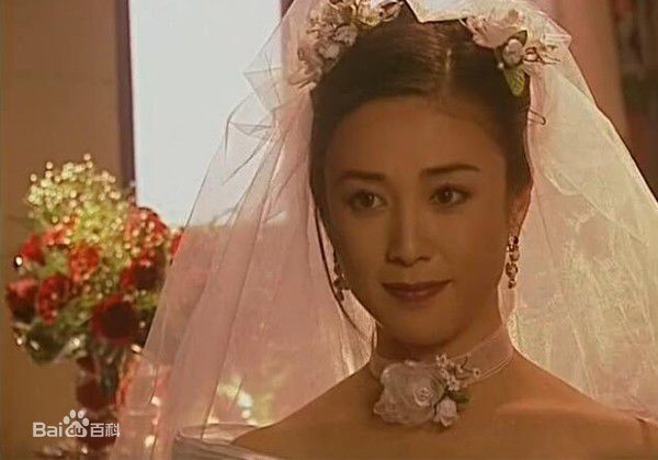 傅艺伟(Yiwei Fu)参演电视剧（1985年-2007年）壁纸壁纸