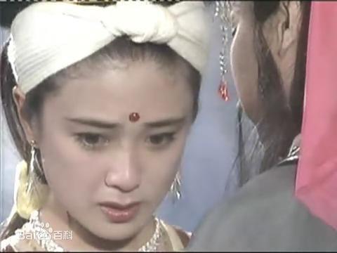 傅艺伟(Yiwei Fu)参演电视剧（1985年-2007年）壁纸壁纸