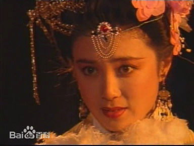 傅艺伟(Yiwei Fu)参演电视剧（1985年-2007年）壁纸壁纸