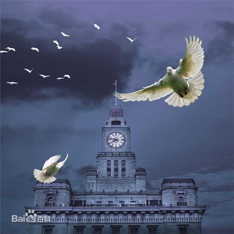 最新金巧巧(Qiaoqiao Jin)性感图片