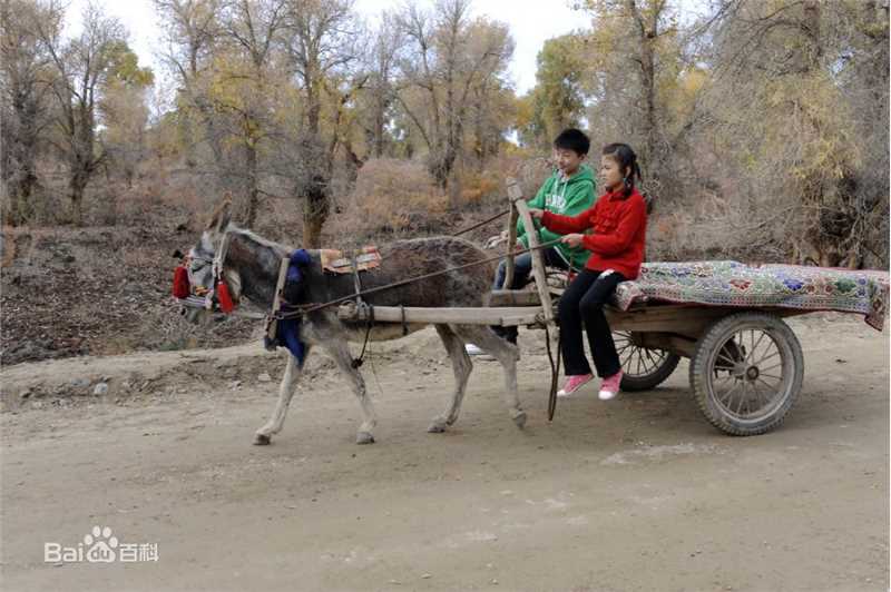 最全史磊素颜照
