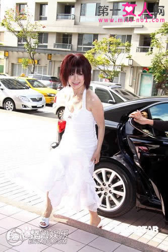 精选许效舜在的《铁狮玉玲珑》《铁狮玉玲珑》中的图册