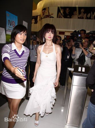 精选许效舜在的《铁狮玉玲珑》《铁狮玉玲珑》中的图册