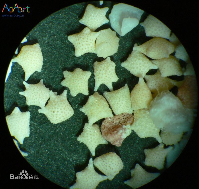 精选王耿豪(Scott)