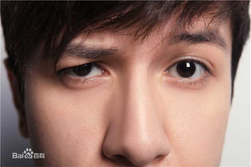 努尔艾力·阿不利孜新东方艾力老师壁纸壁纸