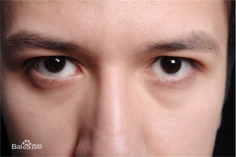 努尔艾力·阿不利孜新东方艾力老师壁纸壁纸