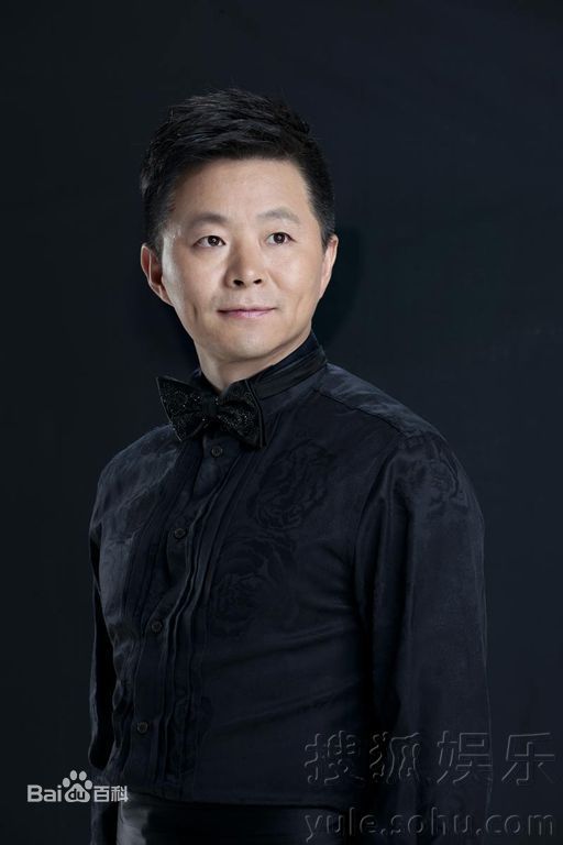 王宏伟(Wang Hongwei)西部新歌王图片图册