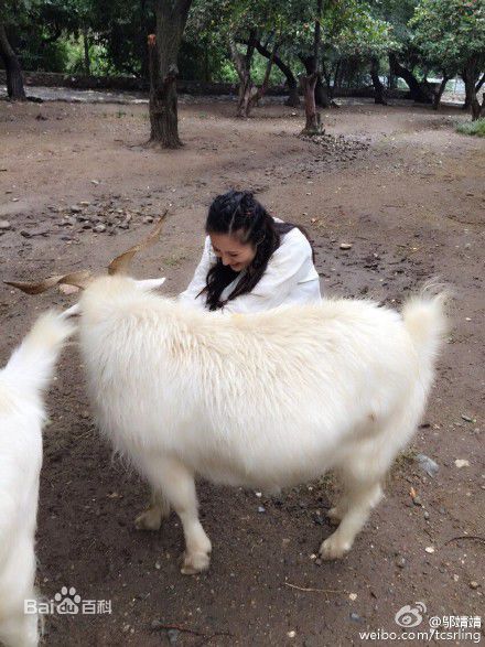 邬靖靖生活照壁纸壁纸