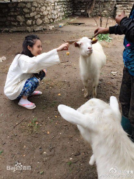 邬靖靖生活照壁纸壁纸