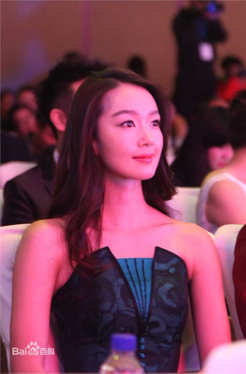 刘丛丹出席活动照片图册