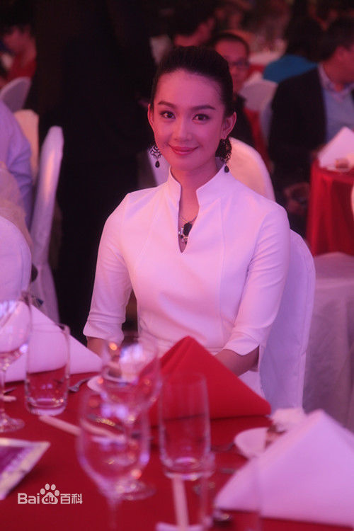 刘丛丹出席活动照片图册