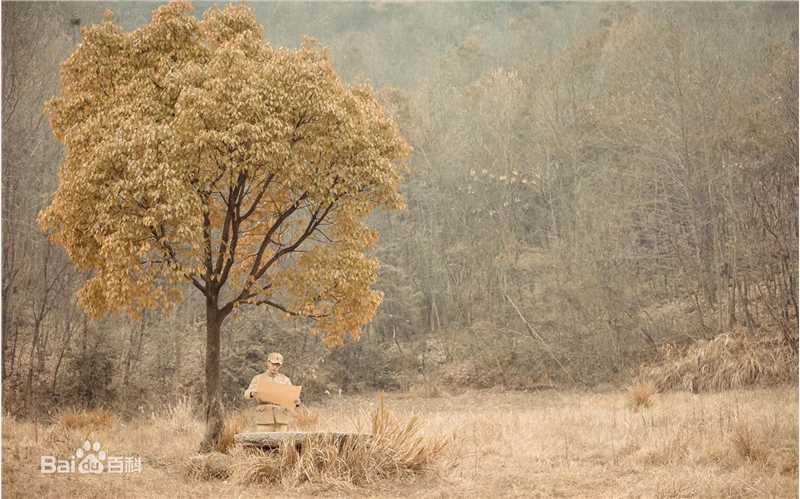 鹿时源图册图片图集