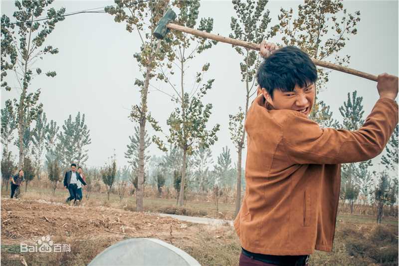 鹿时源图册图片图集