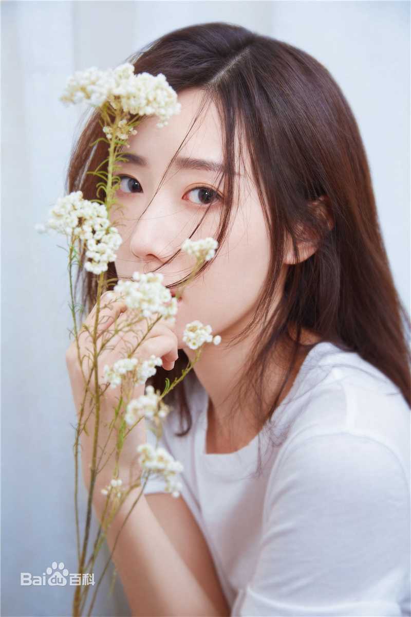 崔宝月精选图册