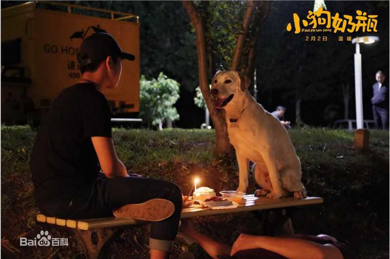 魏子涵小狗奶瓶最新剧照