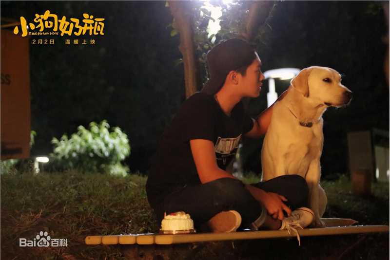 魏子涵小狗奶瓶最新剧照