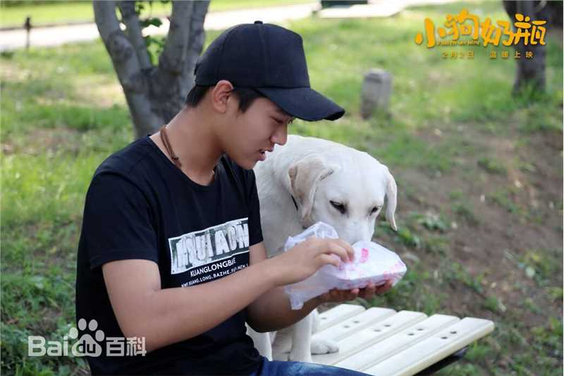 魏子涵小狗奶瓶最新剧照