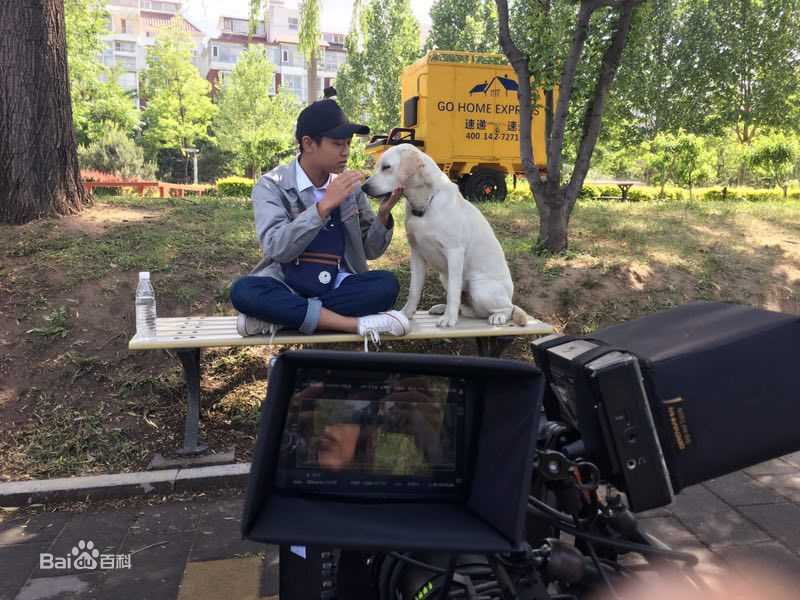 魏子涵小狗奶瓶最新剧照