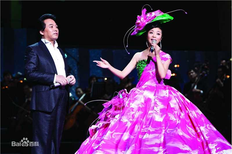 李丹阳(Li Dan Yang)2011丹心向阳音乐会素颜照壁纸