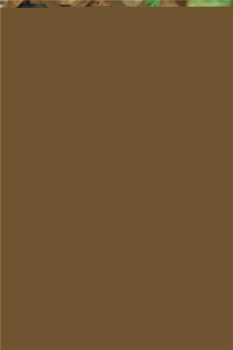 商蓉(Li Ly)最优质个人相册