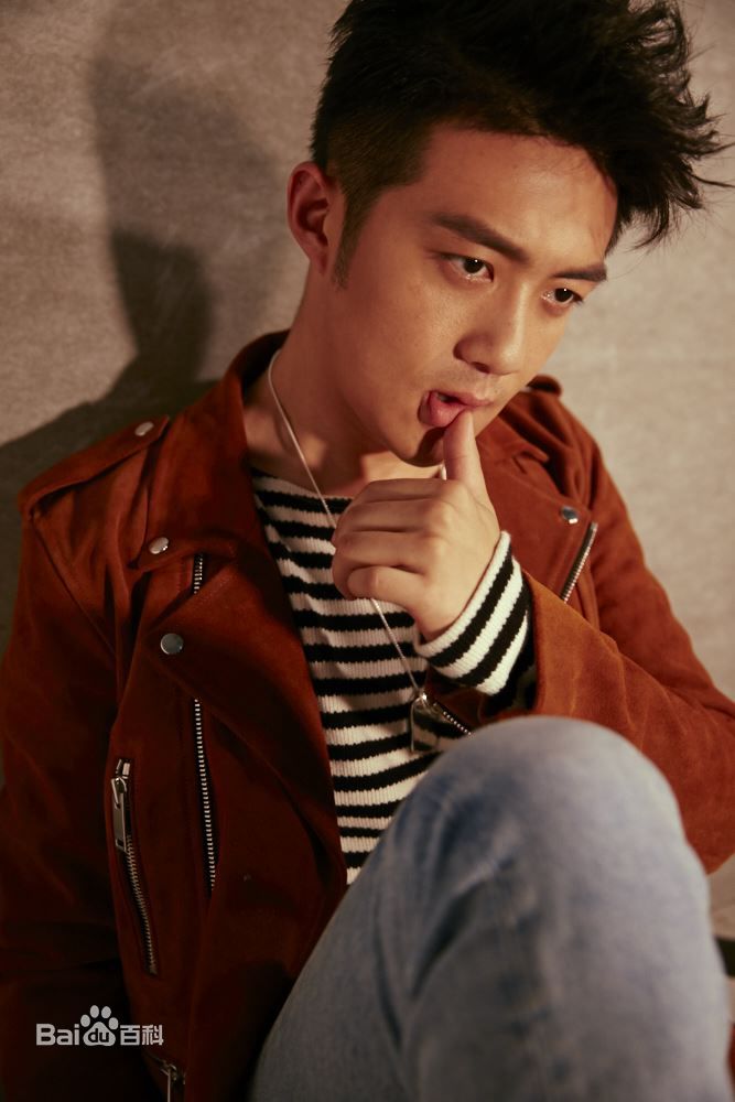 李泽锋精选 图册